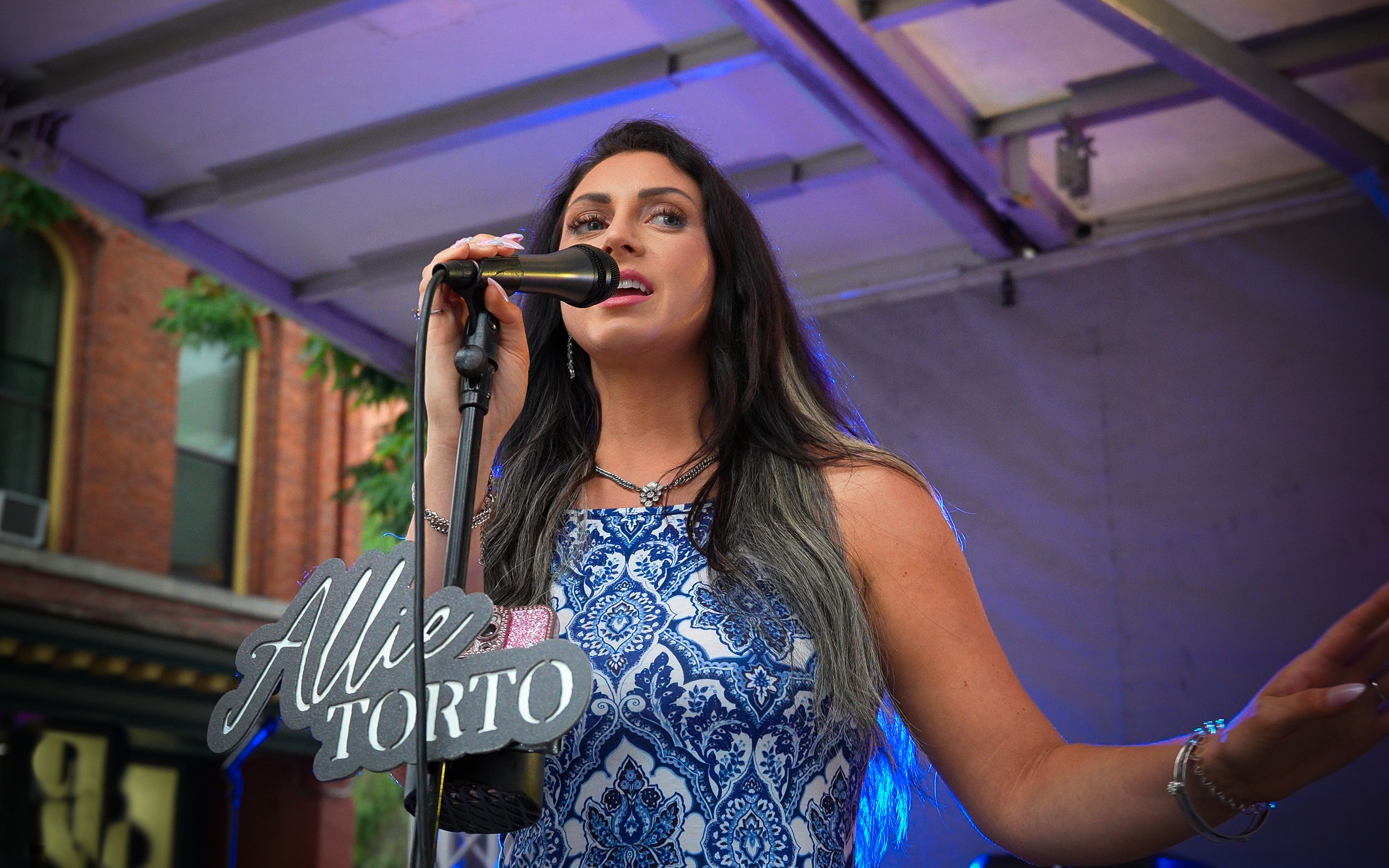 Endless Summer Festival